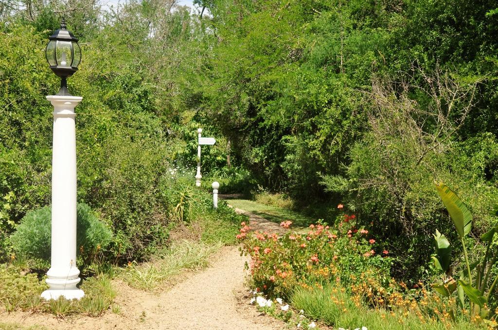 Umlambo River Lodge Kirkwood Luaran gambar