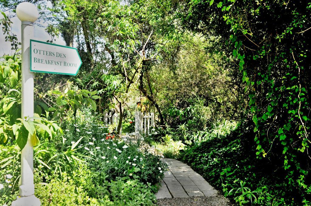 Umlambo River Lodge Kirkwood Luaran gambar