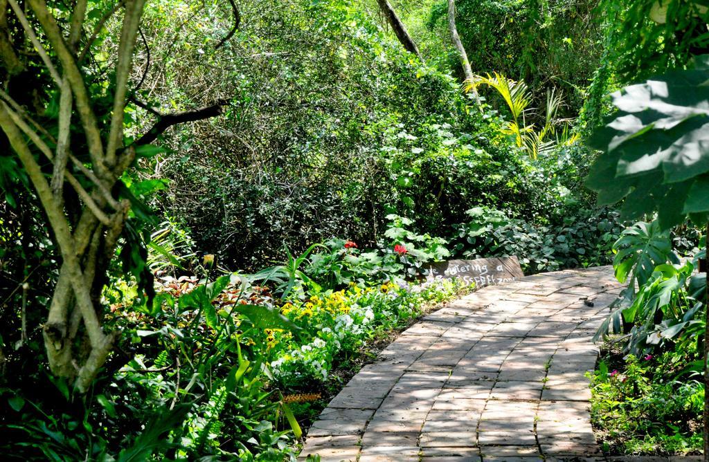 Umlambo River Lodge Kirkwood Luaran gambar