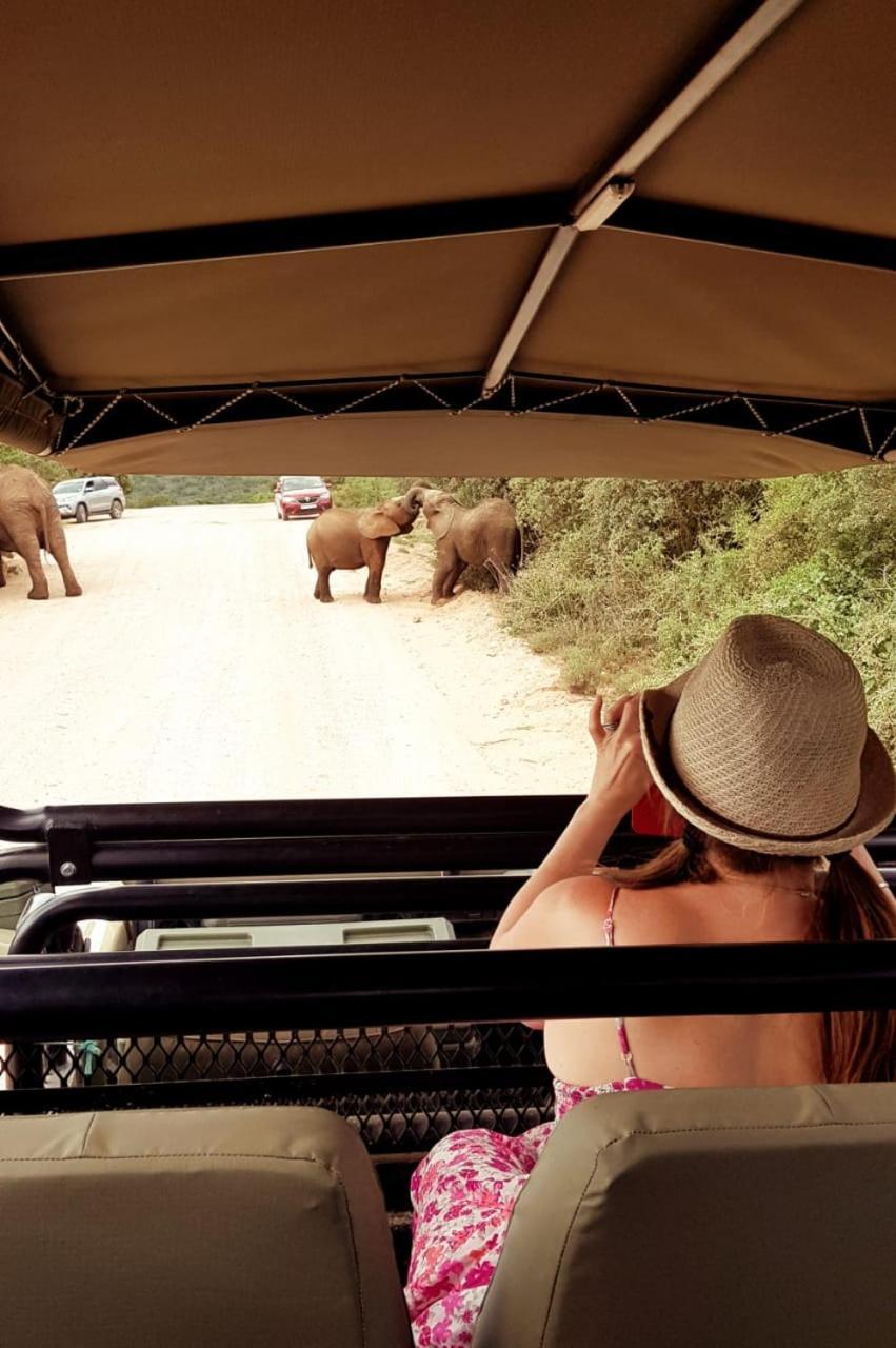 Umlambo River Lodge Kirkwood Luaran gambar